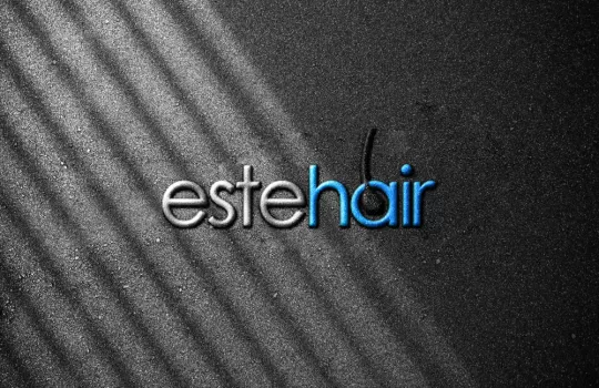 Estehair Seo Egitimi 1