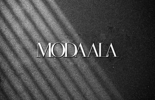 Moda Ala Seo Egitimi 1