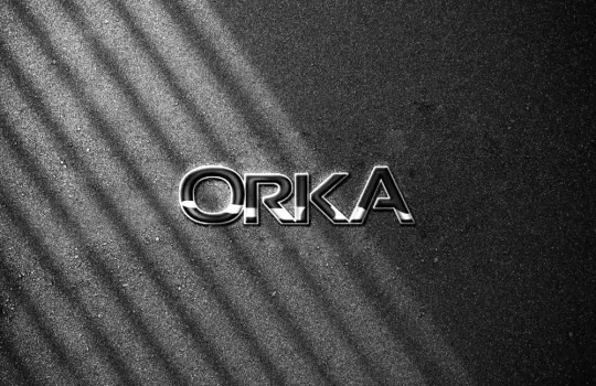 Orka Bilgisayar Seo Egitimi