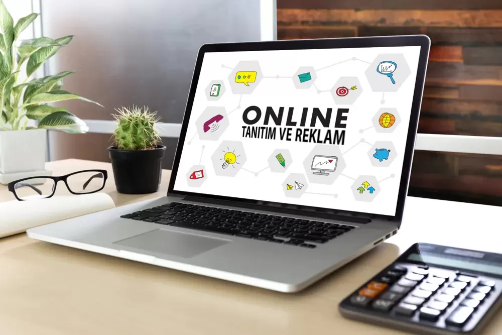 start up girişim danışmanlığı