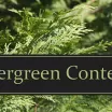 Evergreen İçerik İçin Önemli Püf Noktaları!