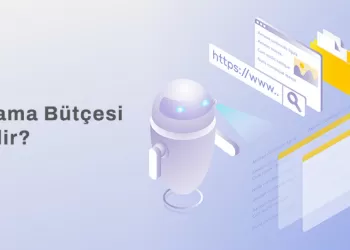 Tarama Bütçesi Nedir? – Sitenizde İndekslenmeyen Sayfalar Mı Var?